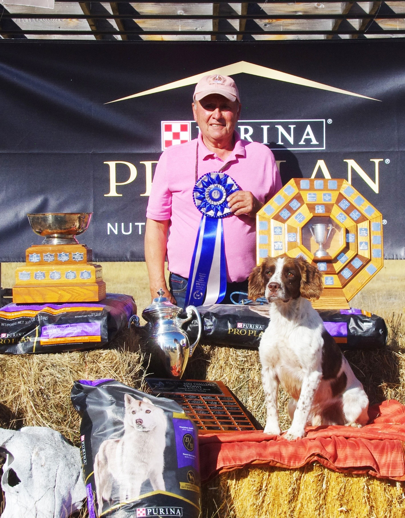 2022 National Open at Calgary English Springer Spaniel Club