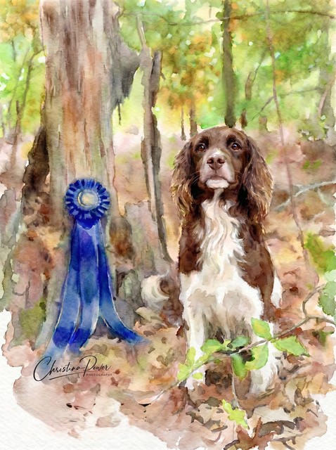 2024 National Open winning dog with blue ribbon